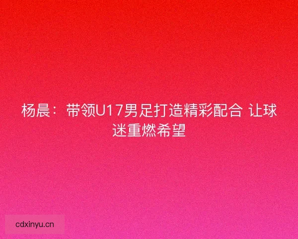 杨晨：带领U17男足打造精彩配合 让球迷重燃希望