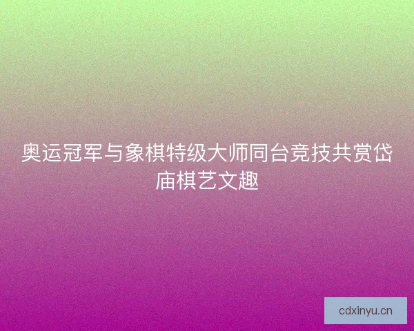 奥运冠军与象棋特级大师同台竞技共赏岱庙棋艺文趣