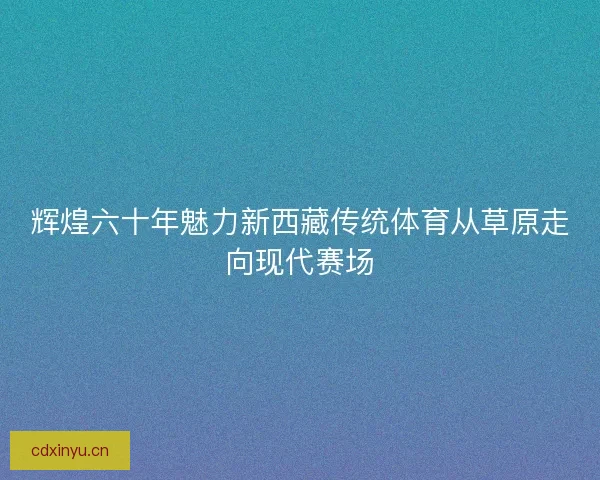辉煌六十年魅力新西藏传统体育从草原走向现代赛场
