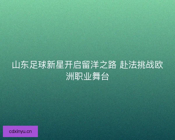 山东足球新星开启留洋之路 赴法挑战欧洲职业舞台