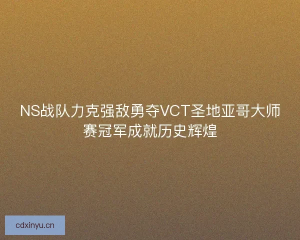 NS战队力克强敌勇夺VCT圣地亚哥大师赛冠军成就历史辉煌