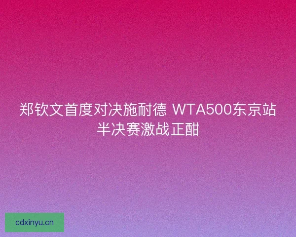 郑钦文首度对决施耐德 WTA500东京站半决赛激战正酣
